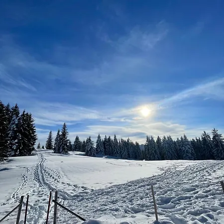 Bergzauber Mit Pool Lägenhet Steibis
