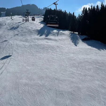 Bergzauber Mit Pool * Steibis